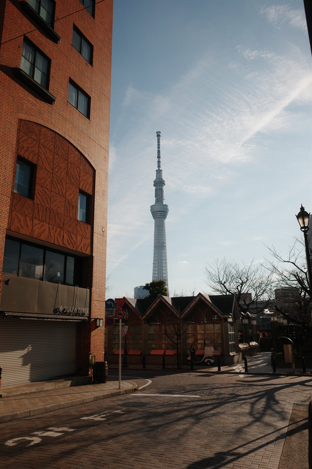 skytree view in japan