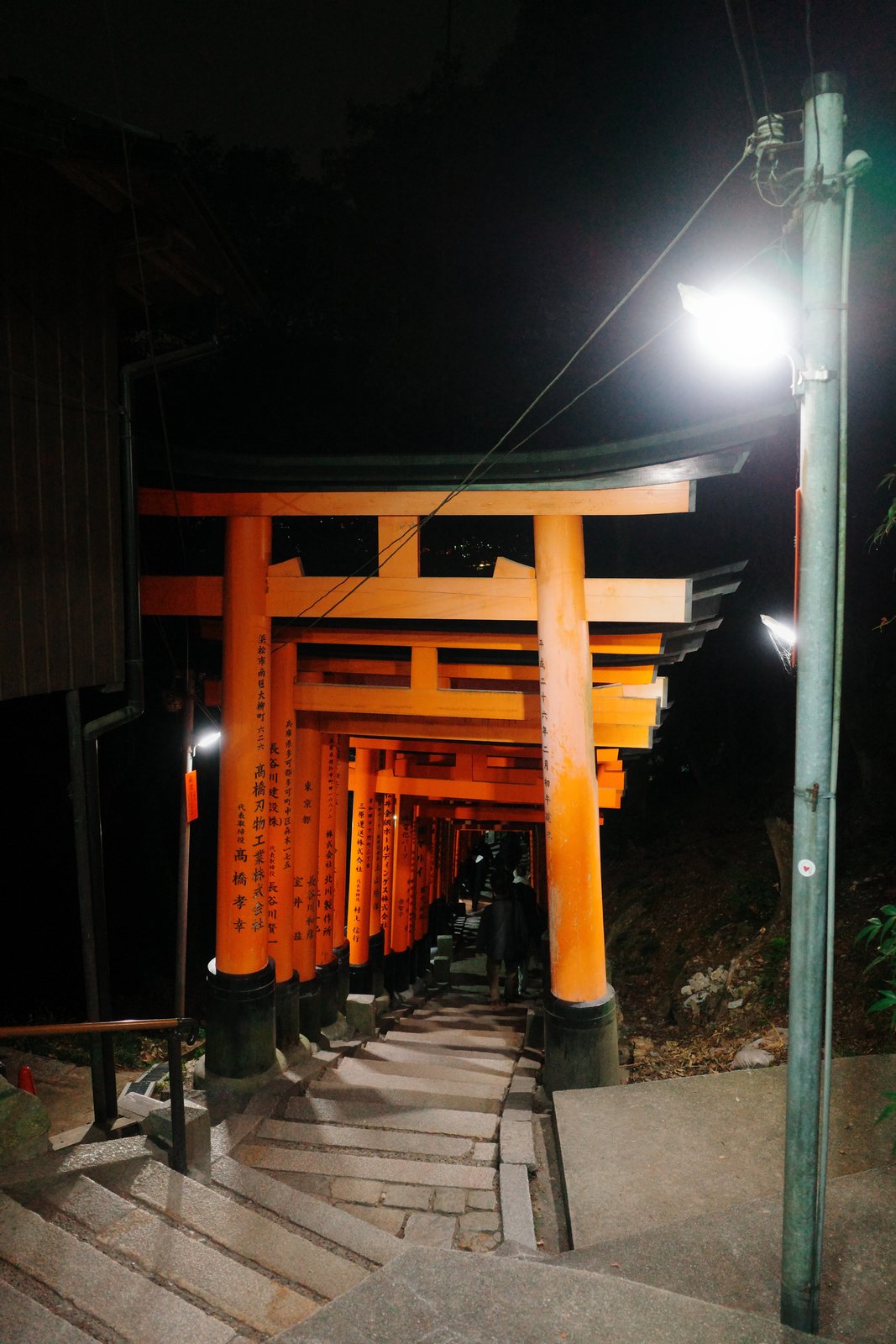 vermilion torii tunnel at fushimi inari