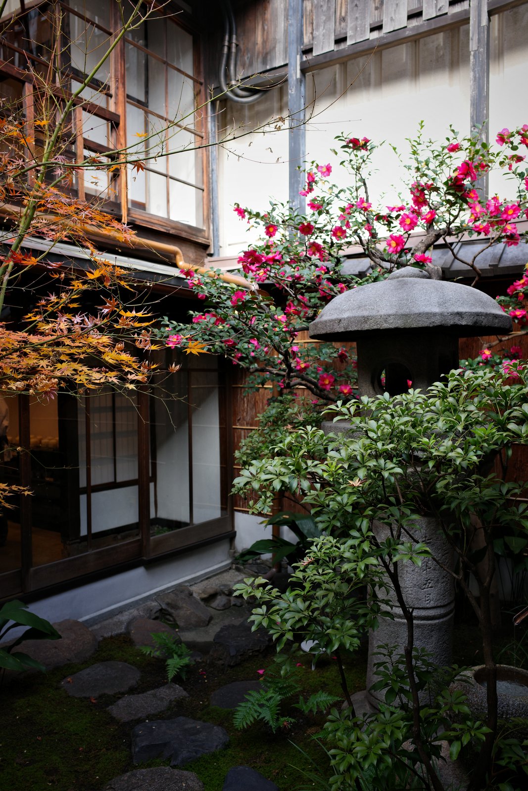 stone lantern in a traditional courtyard garden