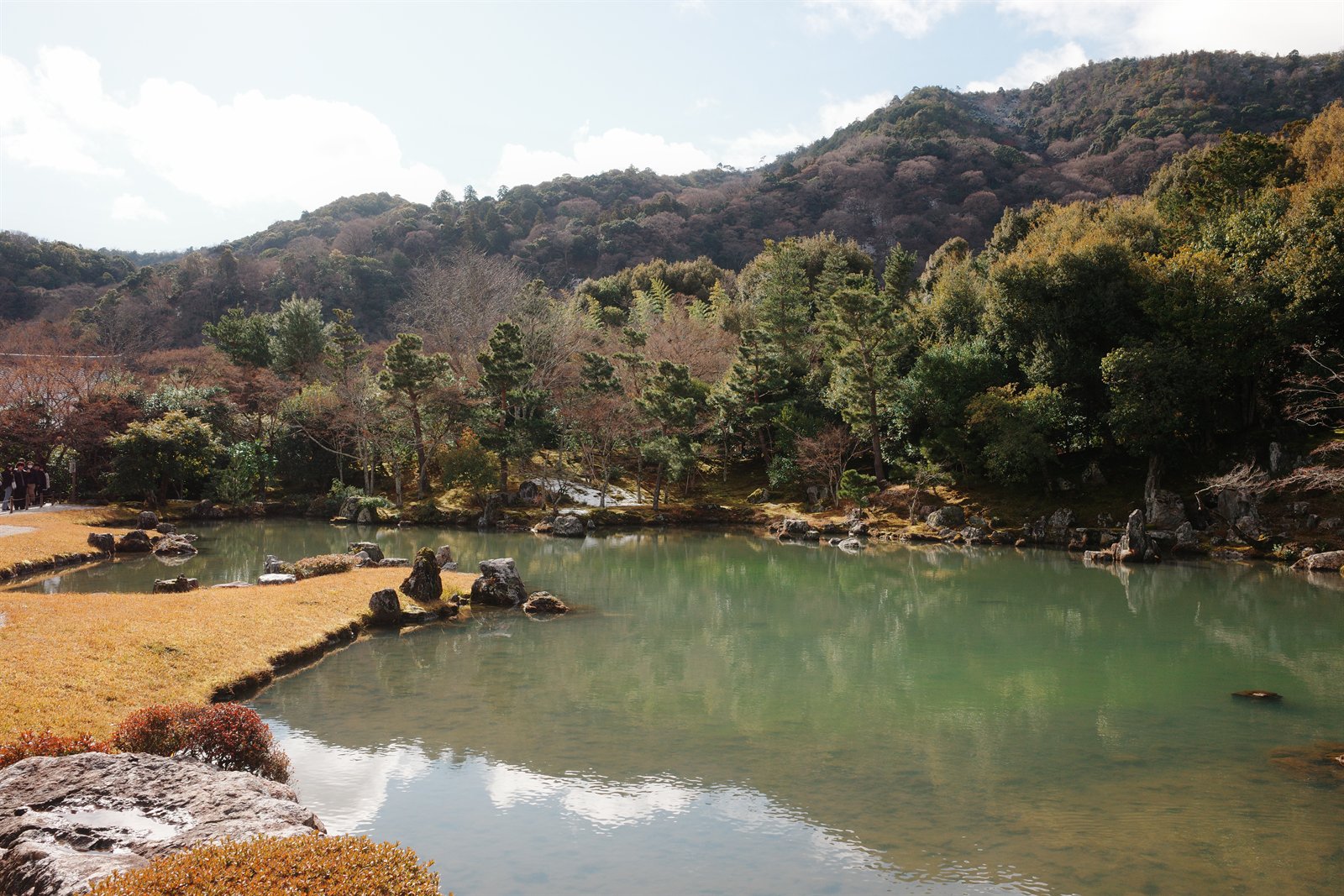 pond garden