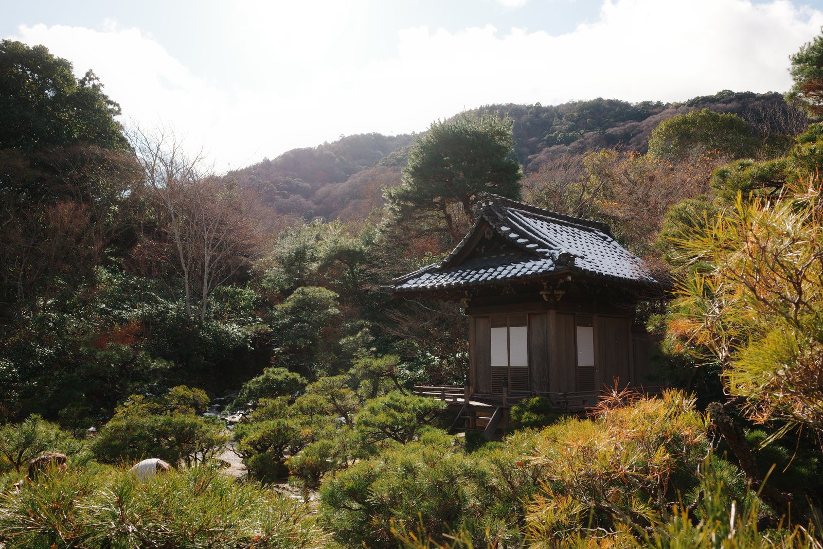 wooden temple hall on a forested hillside
