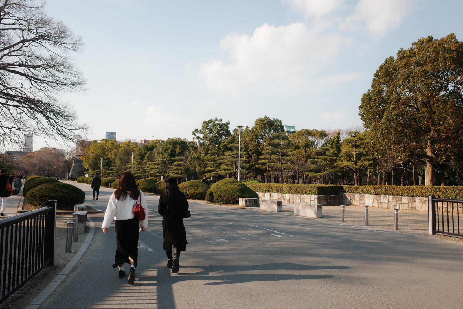 tree-lined path in osaka castle park