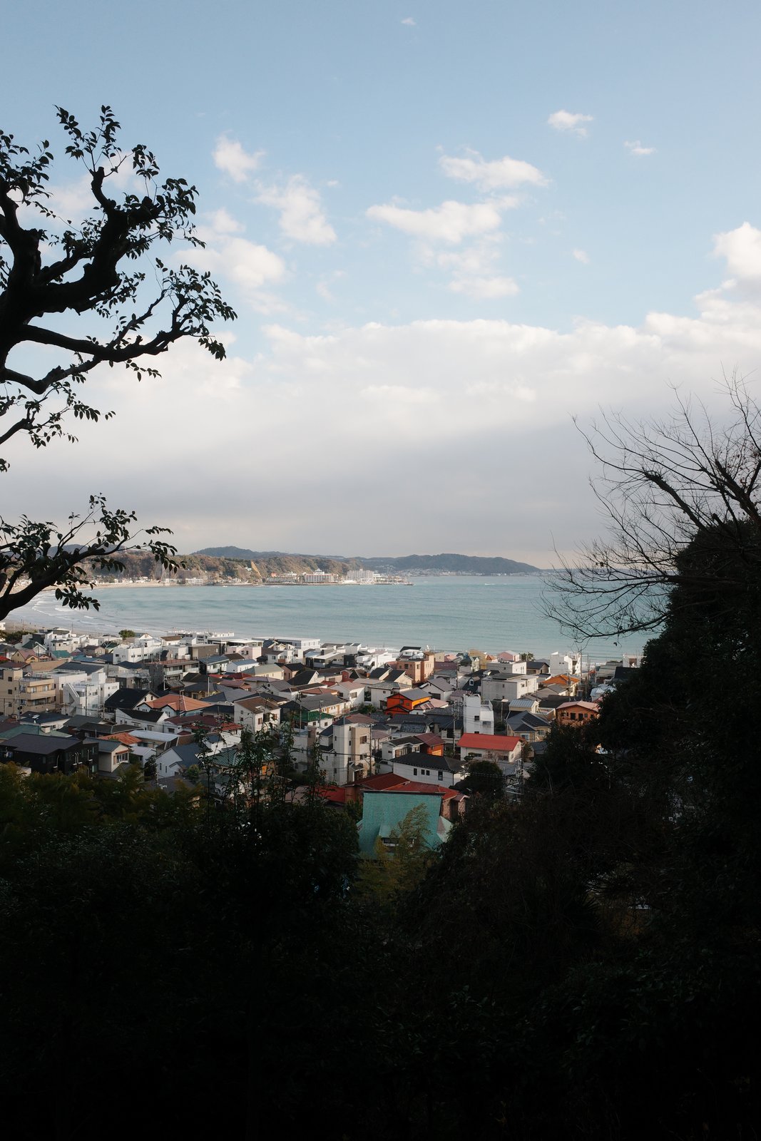 kamakura rooftops and bay from a hillside