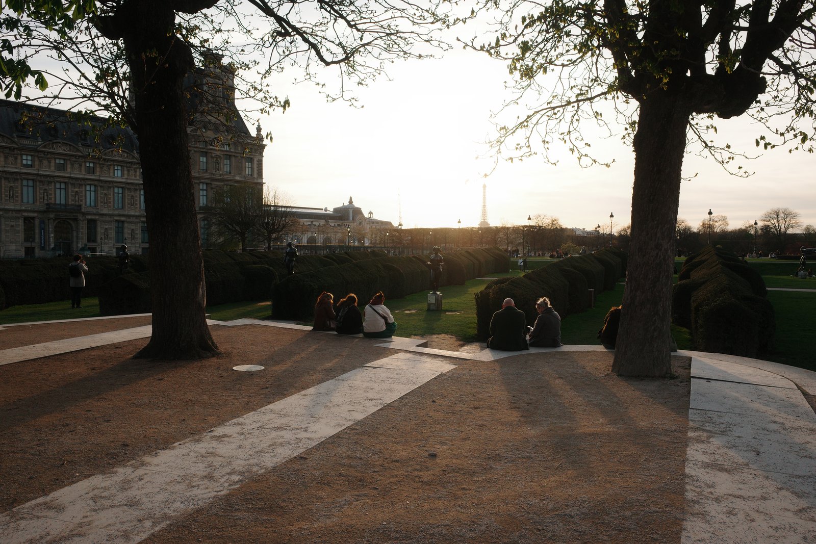 tuileries garden and eiffel tower at dusk